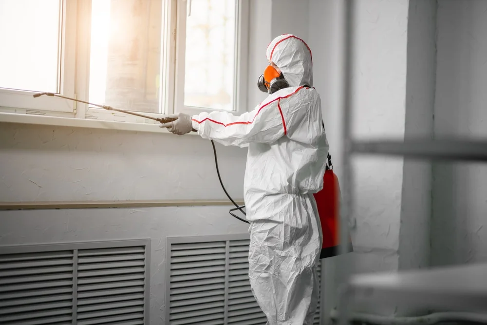 Professional mold remediation services in Rappahannock Academy, VA